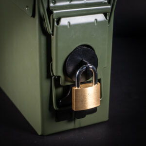 30 Cal Lock Plate